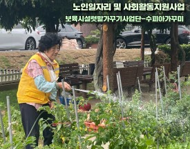 포토갤러리사진